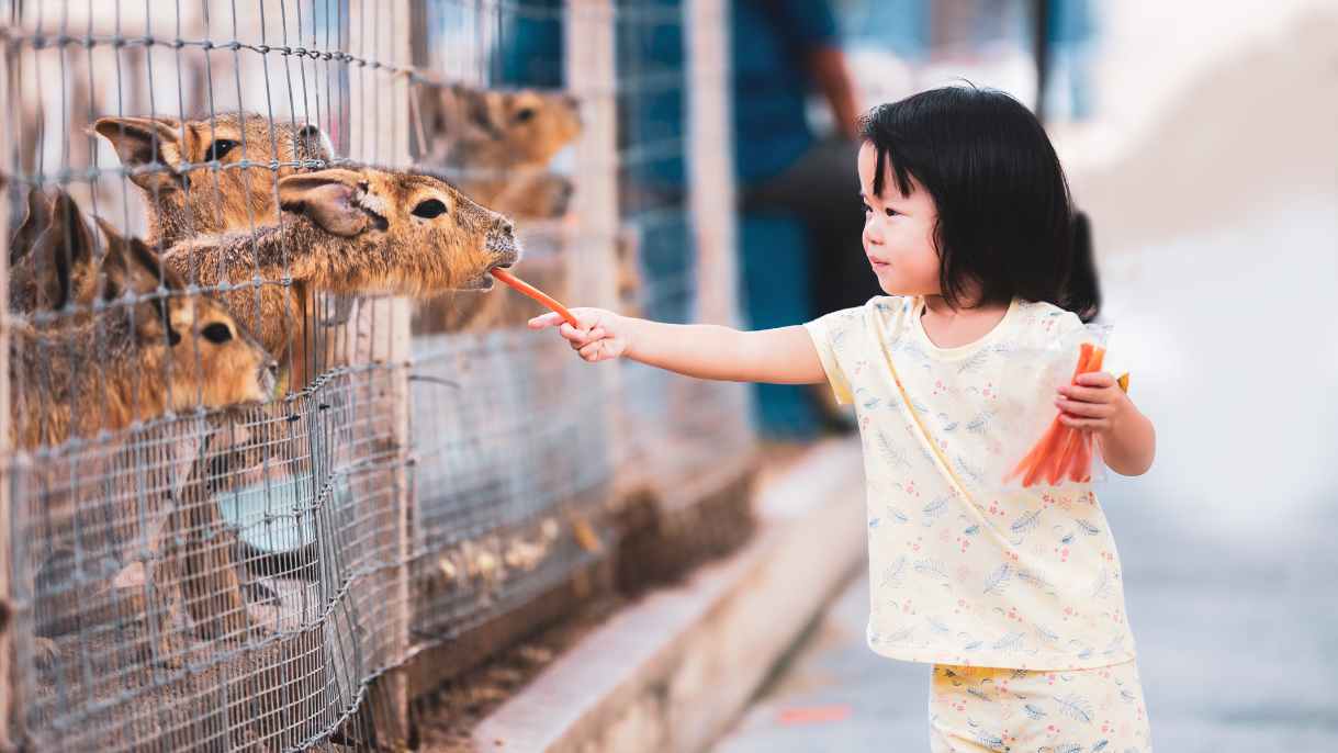 Liburan Akhir Tahun di Semarang bersama Keluarga